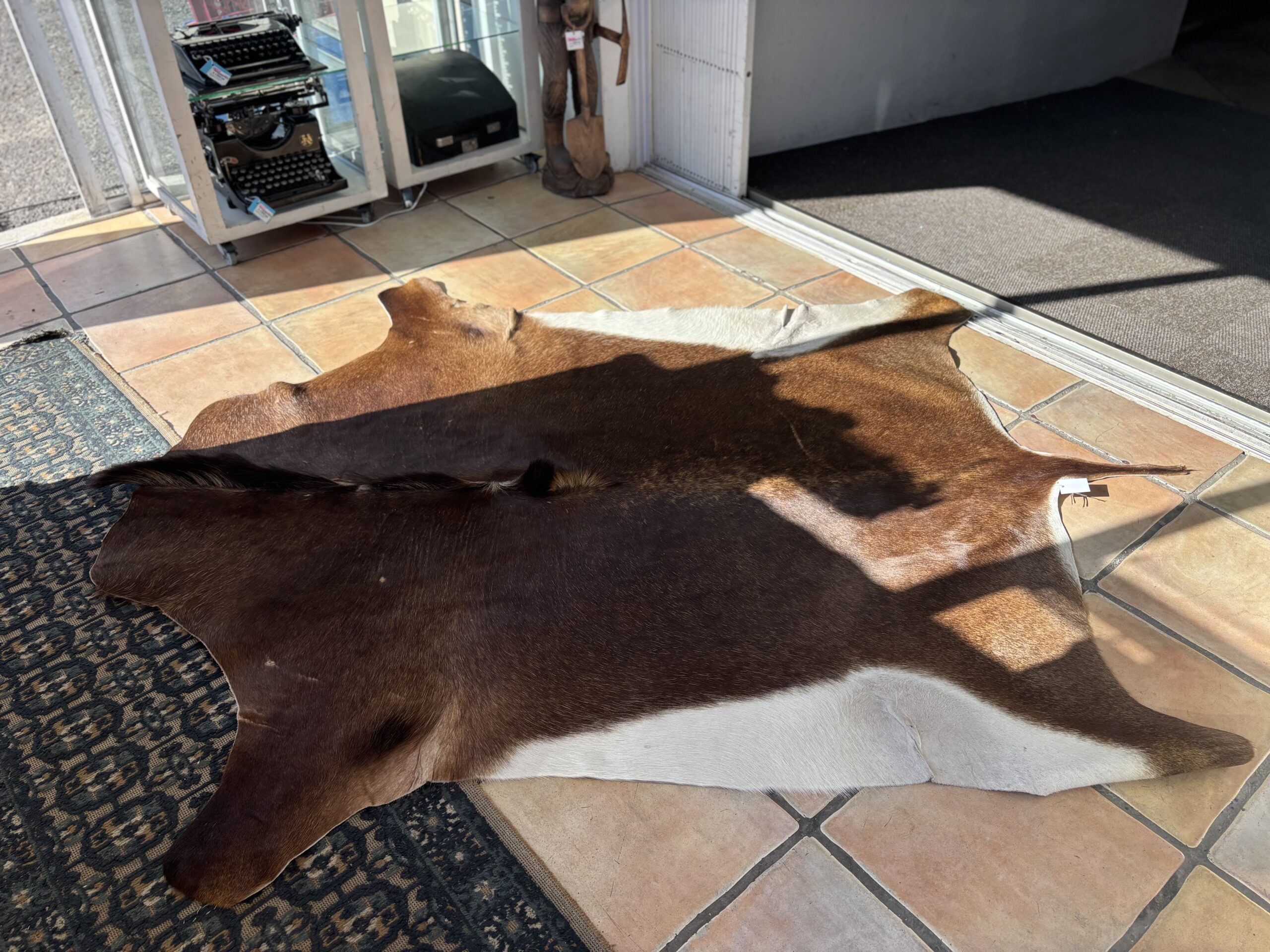 Genuine Sable Antelope Hide Rug with Natural Mane & Tail - Image 5